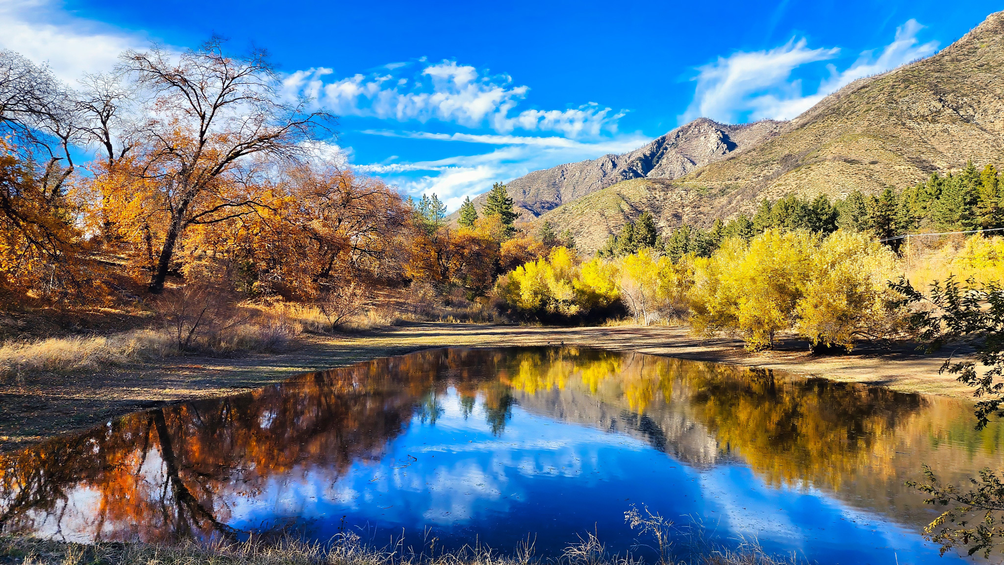 Fall Foliage in Los Angeles Best Places to Spot Fall Colors