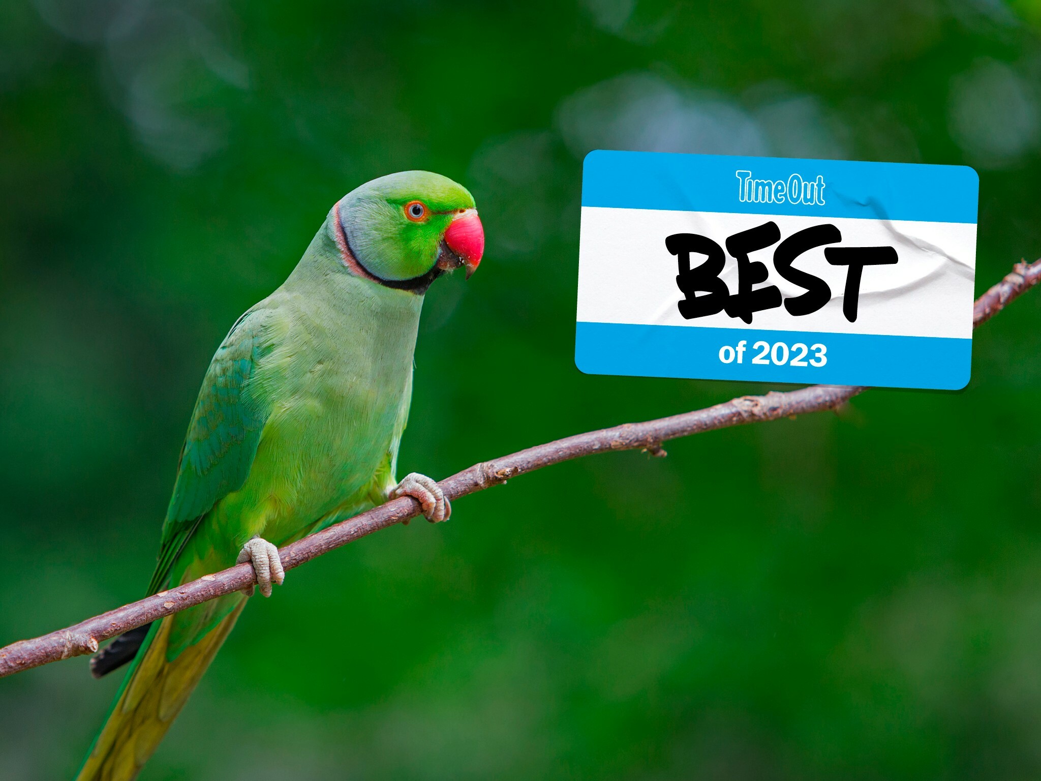 Time Out’s biggest London news stories of 2023 LIA London