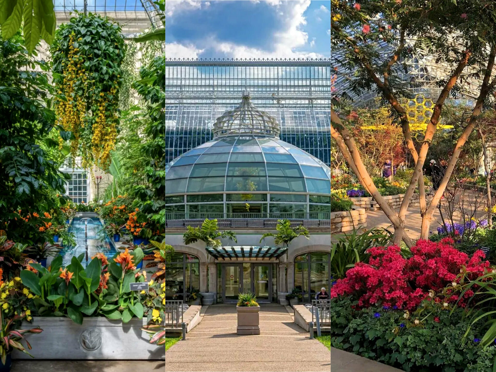 Land For Sale Gardner Colo Otto Mai Blog