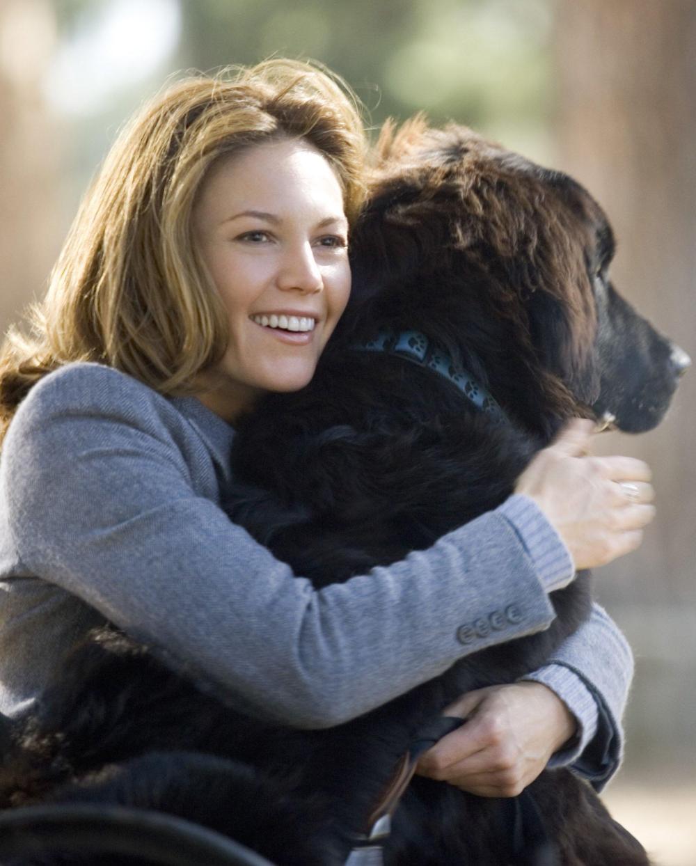 Must Love Dogs 2005, directed by Gary David Goldberg Film review