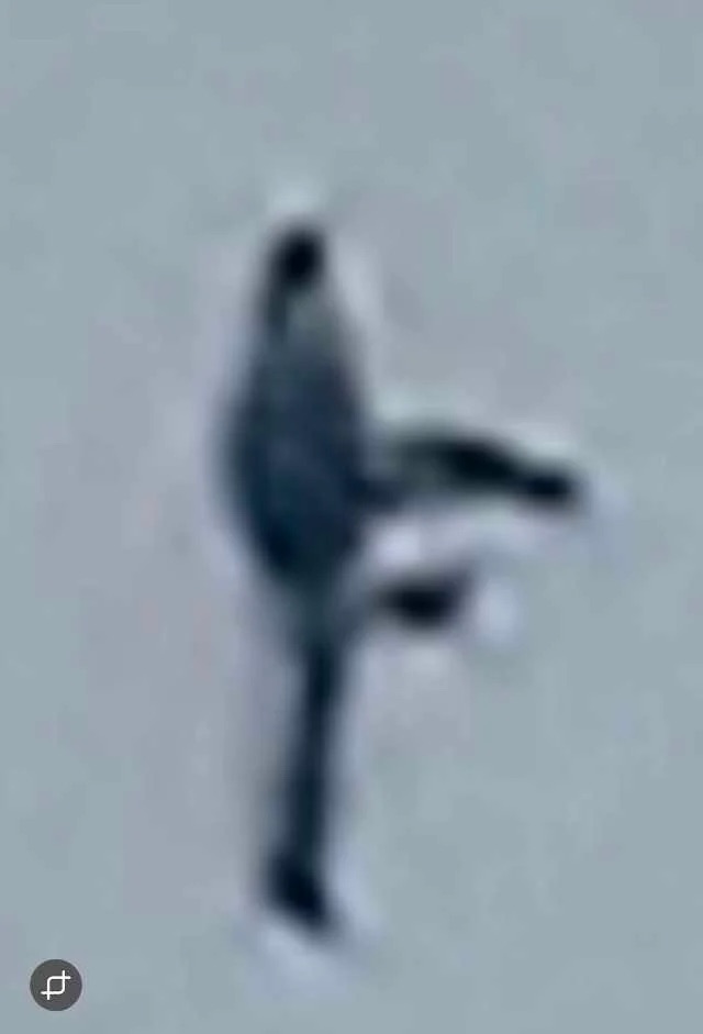 上空で静止するフライング・ヒューマノイドが出現！？＝ワシントン州ｰオカルトニュースメディア トカナ