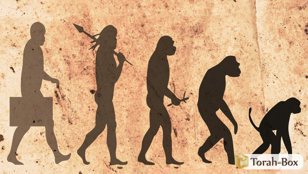 Démolition du néo darwinisme l’homme ne peut pas