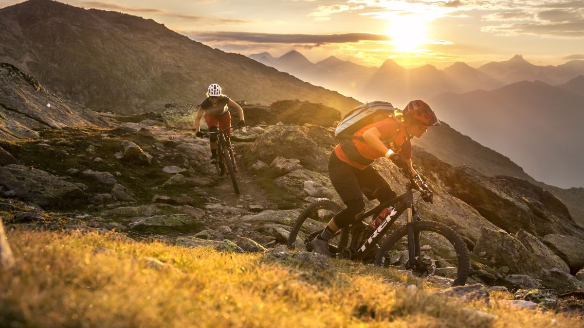 Bike chainguards & chain cases Trek Bikes