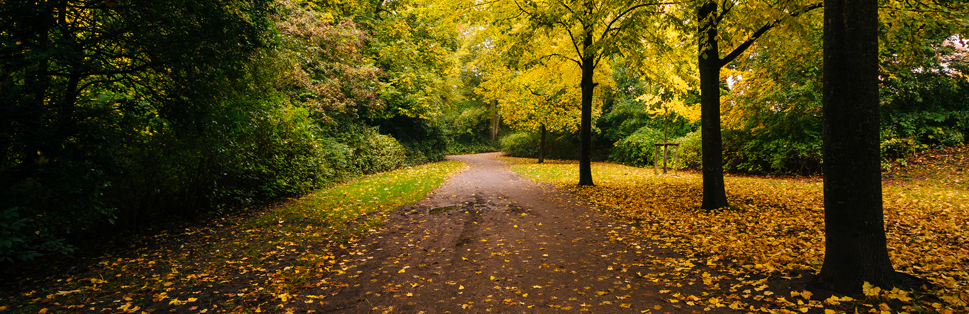 Flights to Denmark from C797 including taxes tripcentral.ca™
