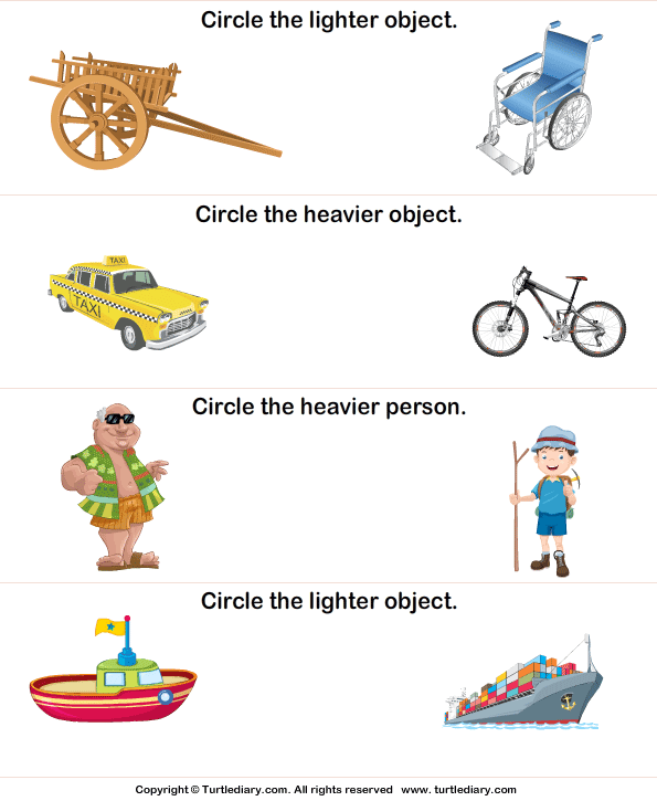 Heavy vs Light Turtle Diary Worksheet