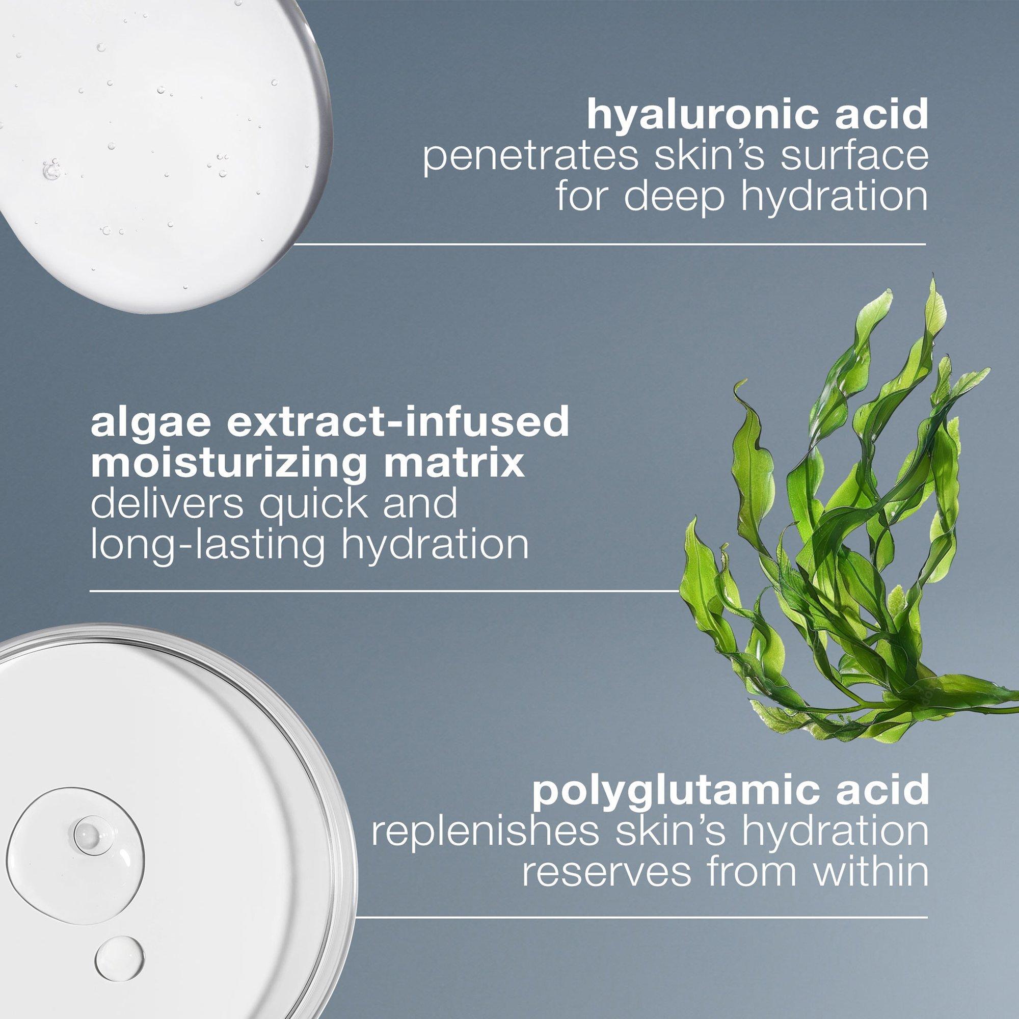 Dermalogica Circular Hydration Serum With Hyaluronic Acid Big Apple Buddy