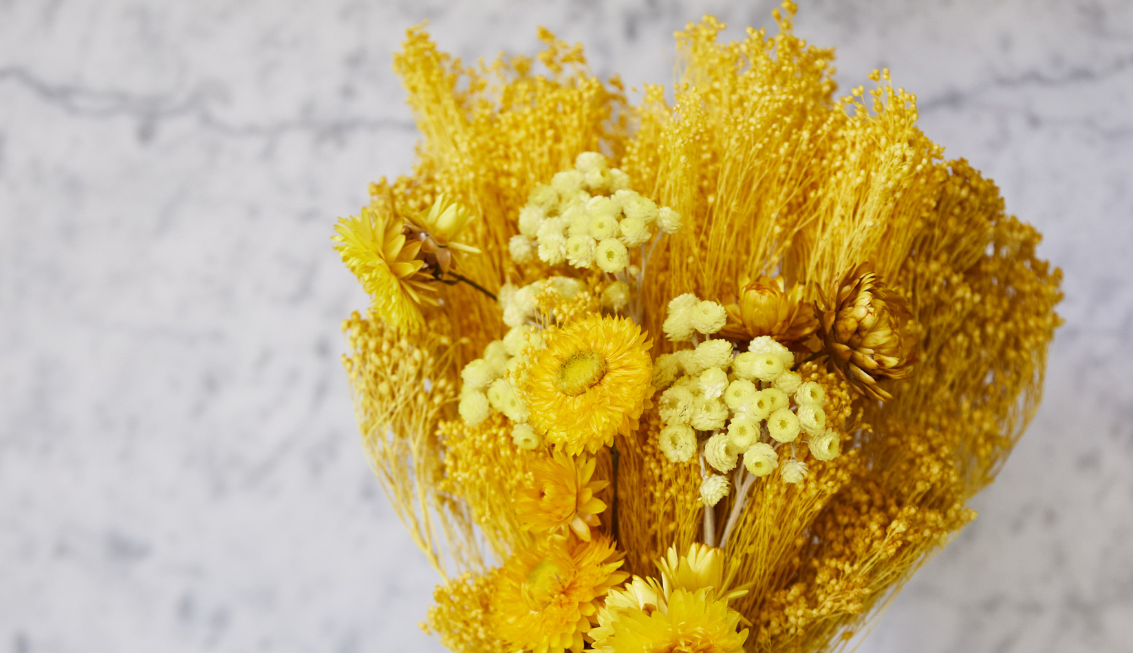 The History of Yellow Flowers for National Friendship Day