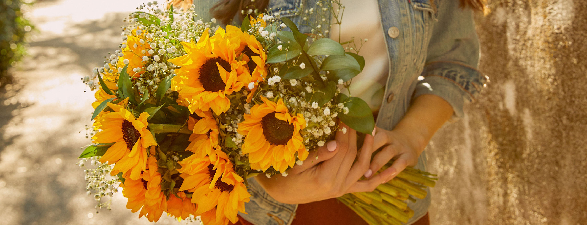 How To Care for Your Sunflowers