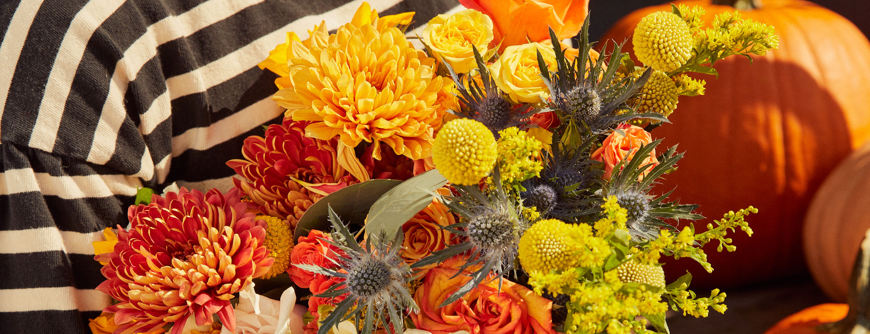 A Guide to Mums November’s Birth Flower