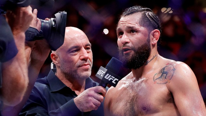 Masvidal net worth