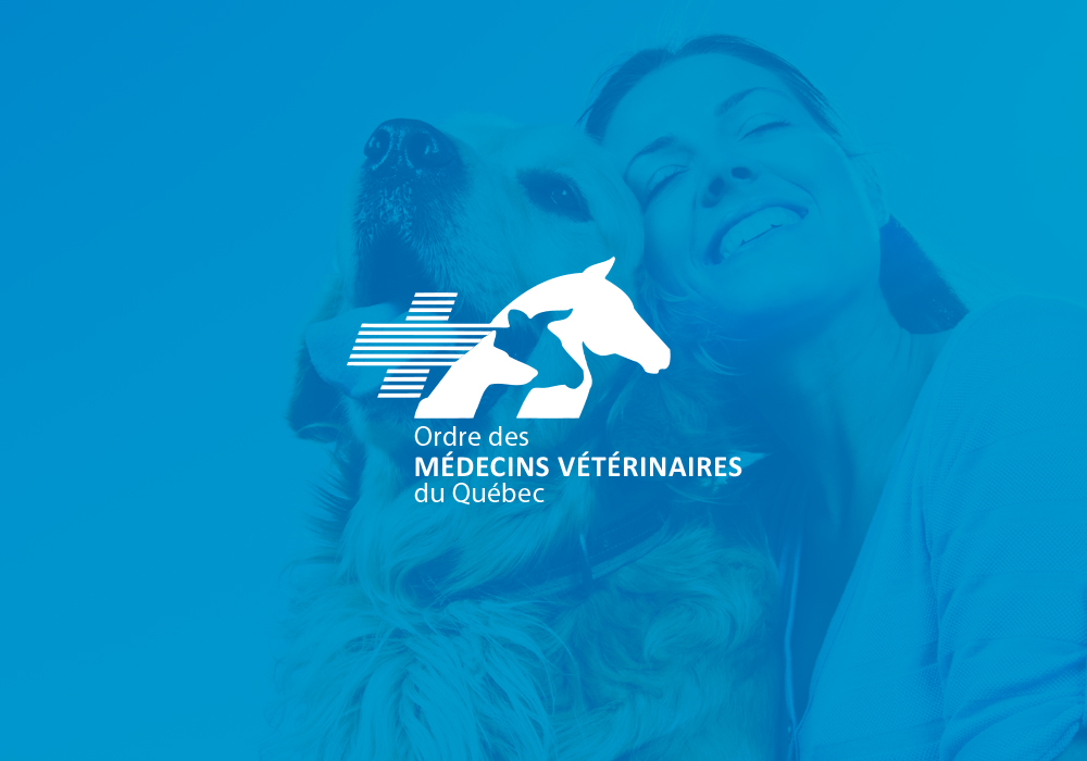 Ordre des médecins vétérinaires du Québec Réalisation par Vortex Solution