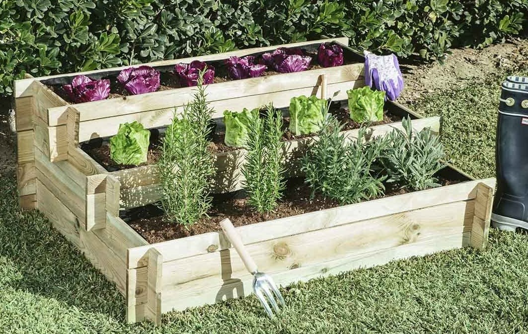 Huerta En Patio De Cemento at Judith Walker blog