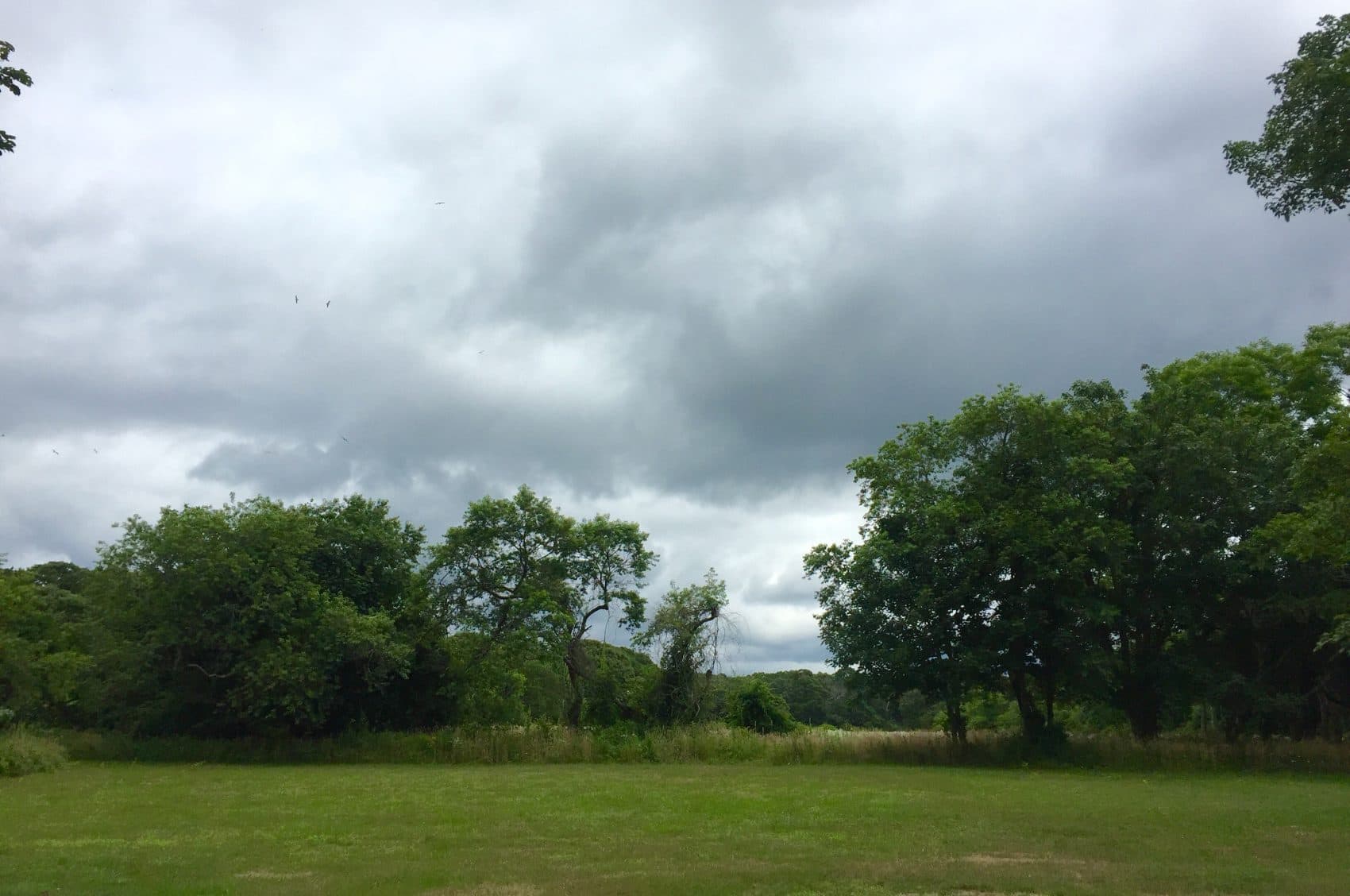 Local Filmmaker Wages Controversial Crusade Against 'Trophy Homes' On Martha’s Vineyard WBUR News