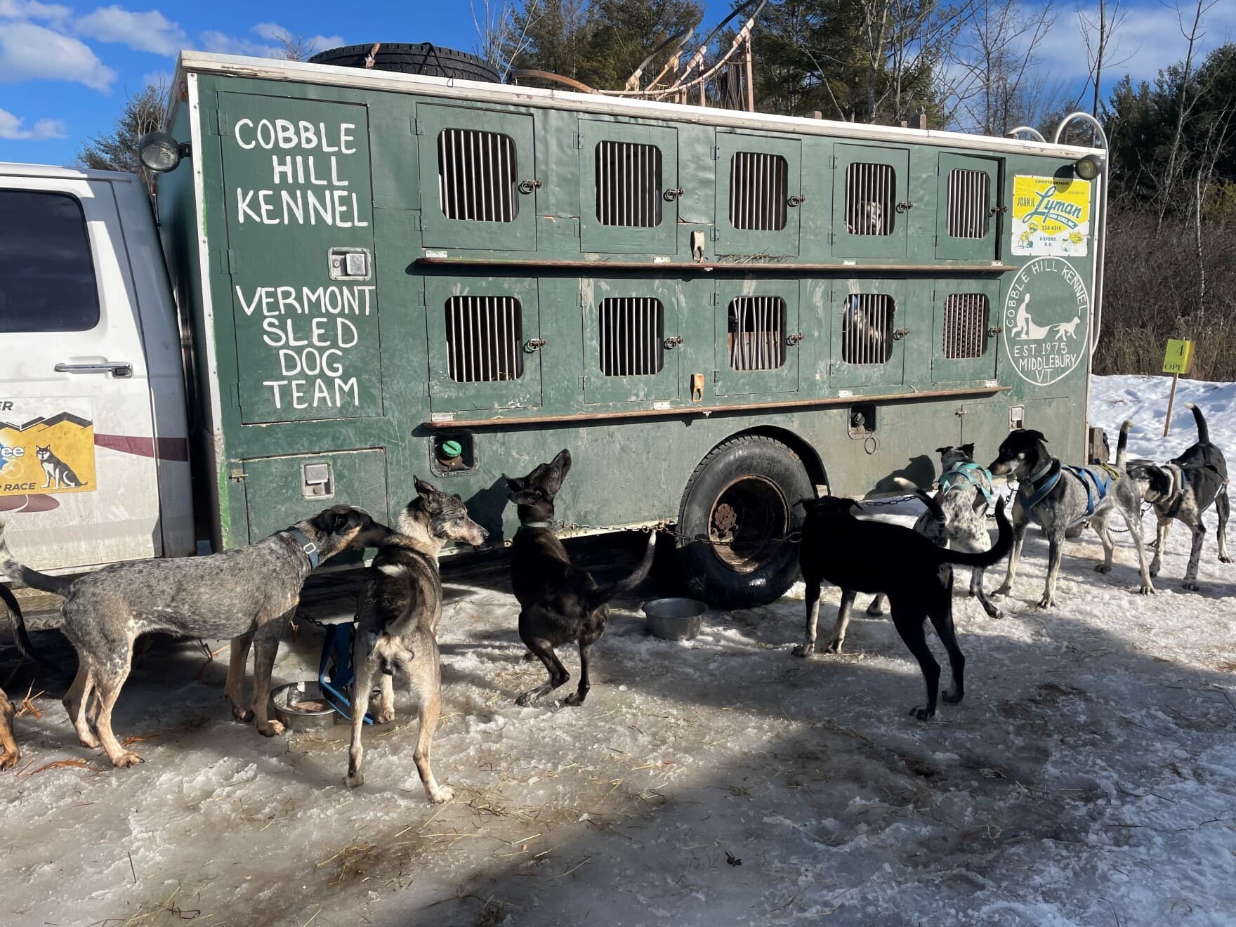 With warming winters, mushers and sled dogs face changes to a sport