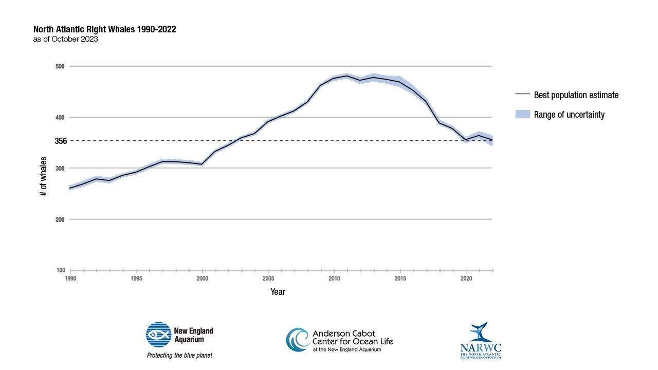 After long, steep decline, the North Atlantic right whale population
