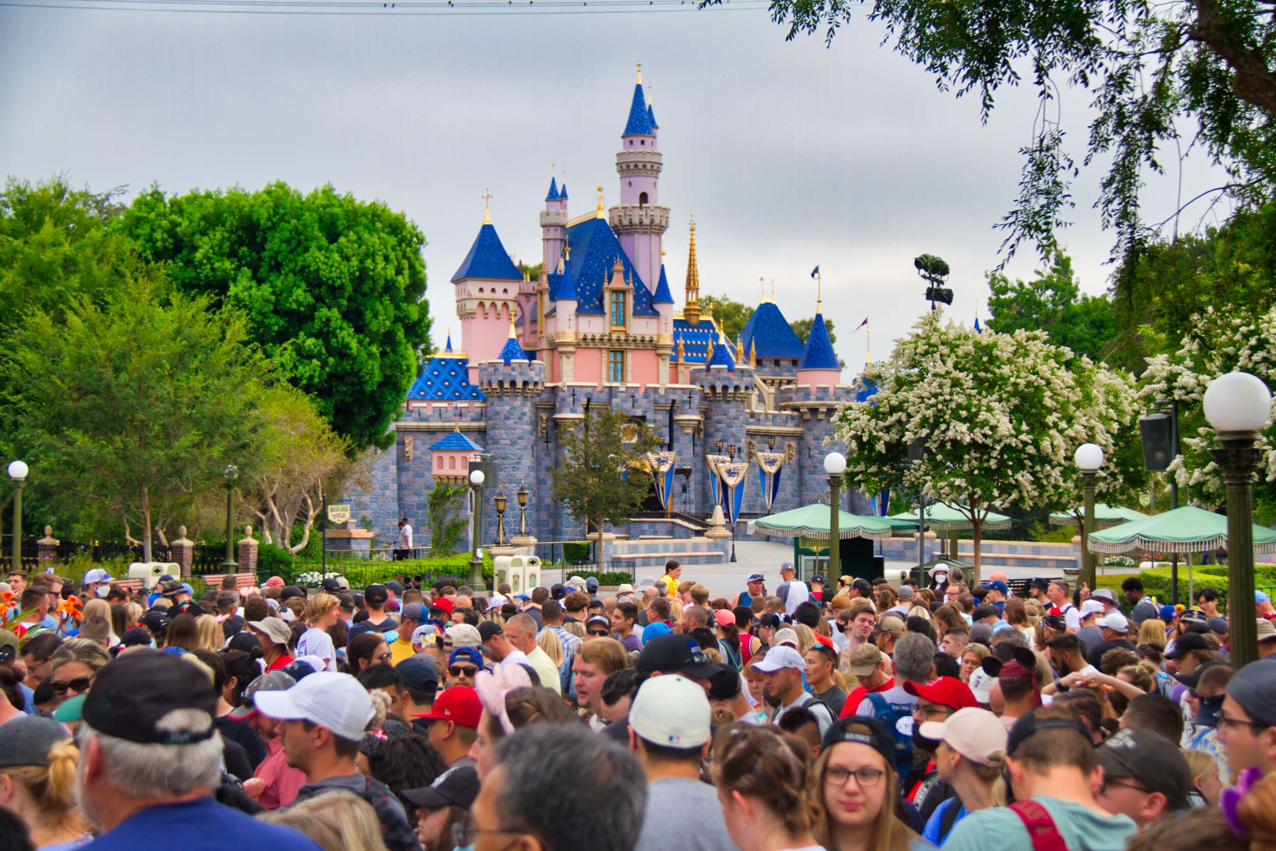 PHOTO REPORT Disneyland 7/1/22 (Pirates of the Caribbean Reopening