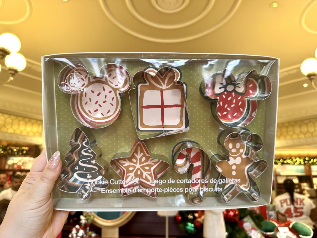 PHOTO REPORT Disney's Blizzard Beach Water Park & Magic Kingdom 11/13