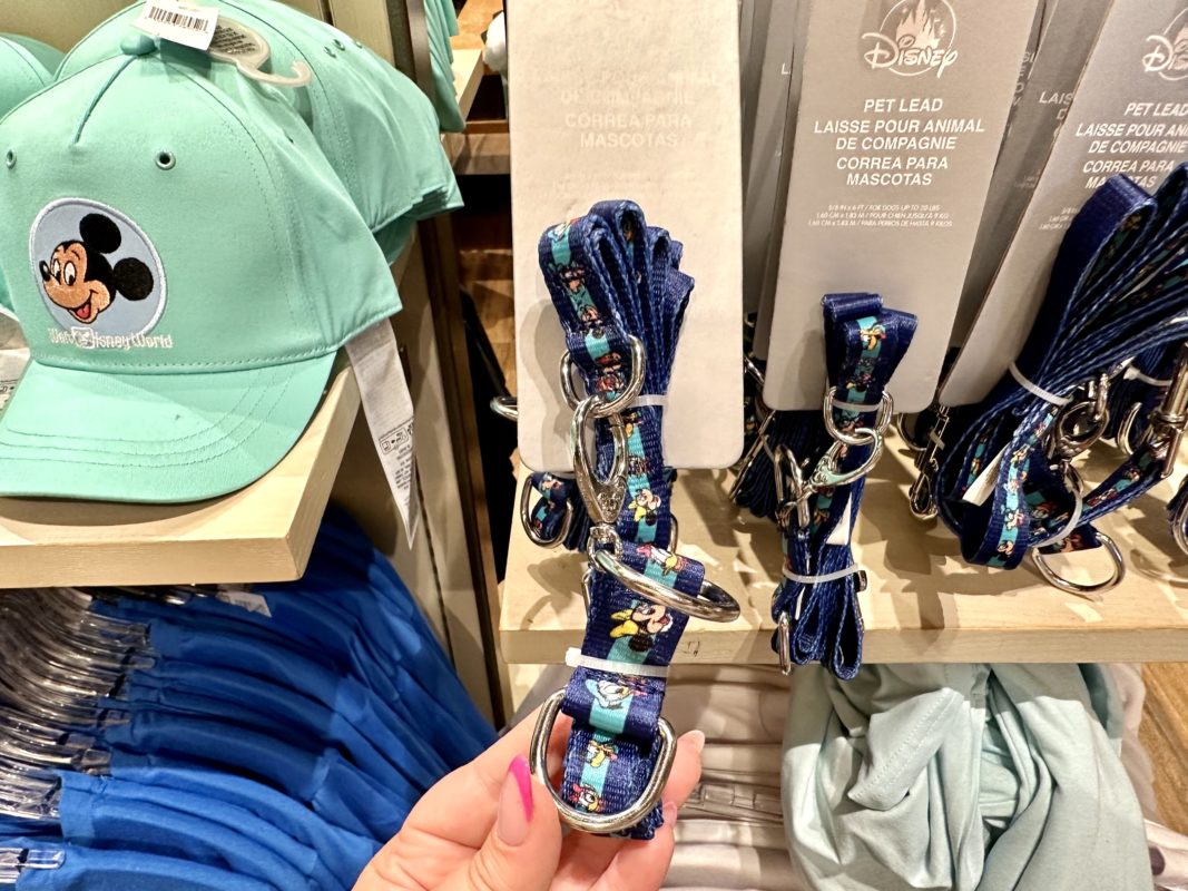 PHOTO REPORT Magic Kingdom & Disney Springs 2/7/23 (New Limited