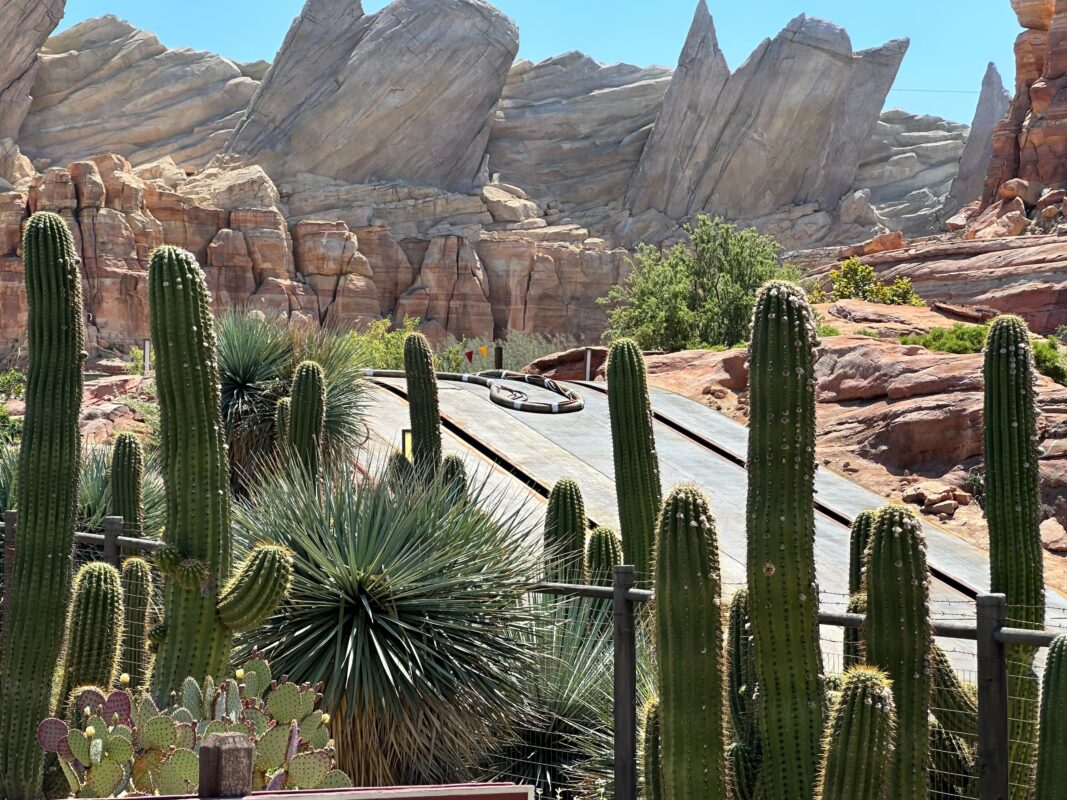 PHOTOS Radiator Springs Racers Exterior Track Repaved, Rockwork