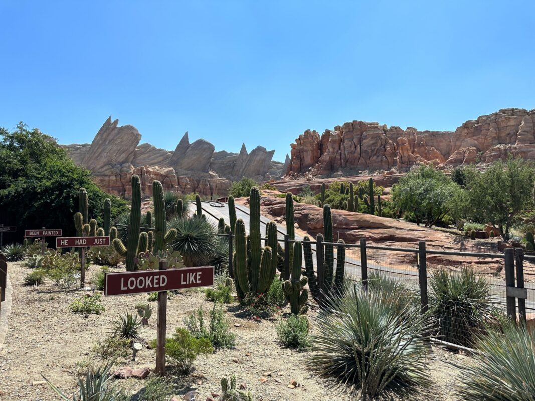 PHOTOS Radiator Springs Racers Exterior Track Repaved, Rockwork