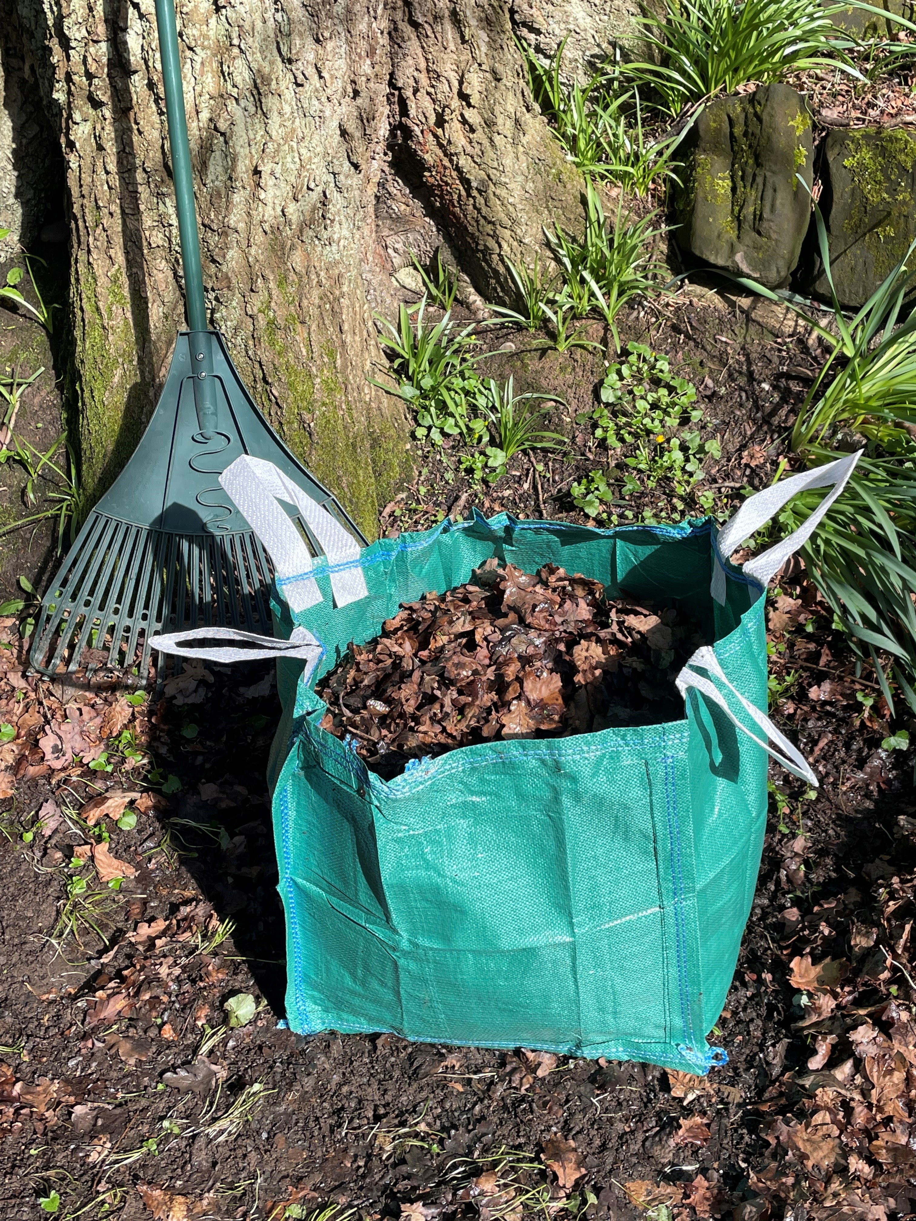 Bark Chippings Garden Bark, Play Bark & Wood Chippings Wickes