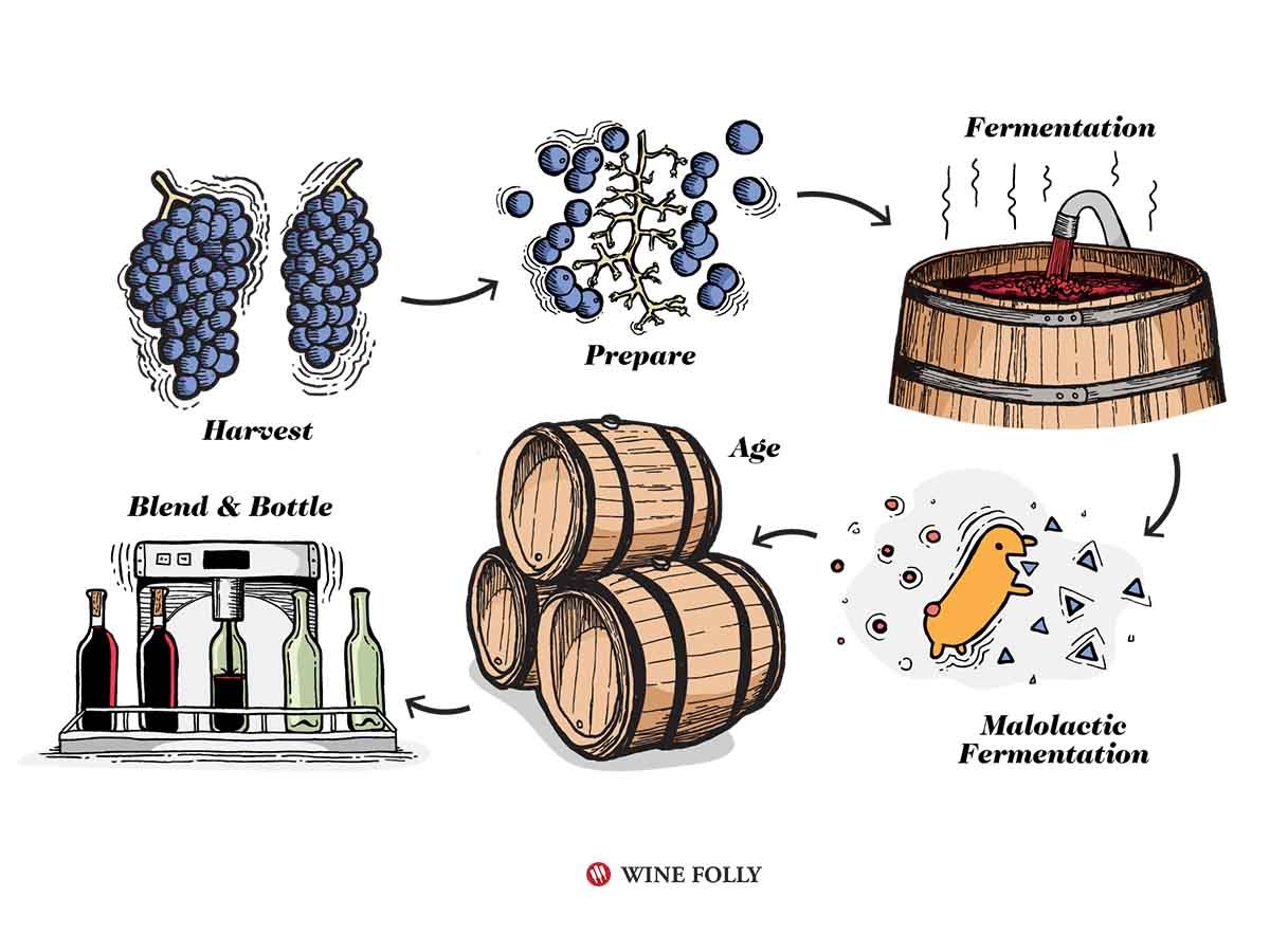 🍷The Dollars and Cents of Wine Wine Folly