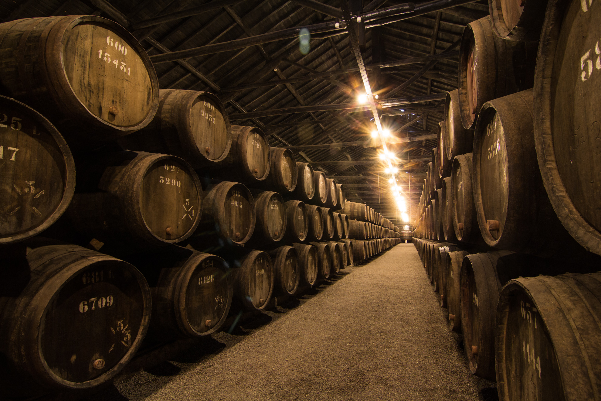 The Truth About Cheap vs. Expensive Wine Wine Folly