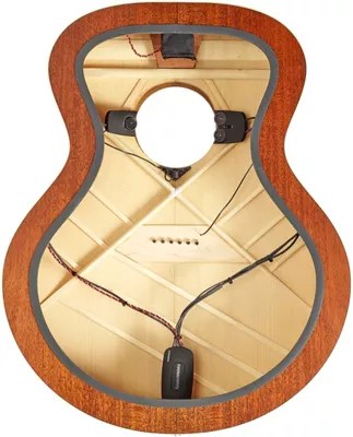 Fishman Matrix Infinity Mic Blend Ukulele Pickup and Preamp System