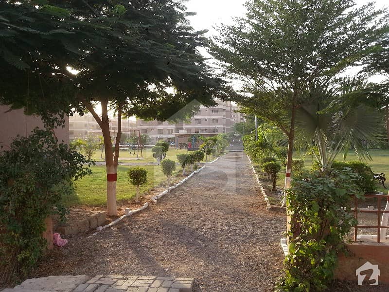 Sd House 311 Sq Yard G1 For Rent Malir Cantt Karachi DOHS Phase 2, Malir Cantonment, Cantt