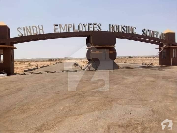 Plot Available For Sale In Sindh Employees Housing Scheme Sindh