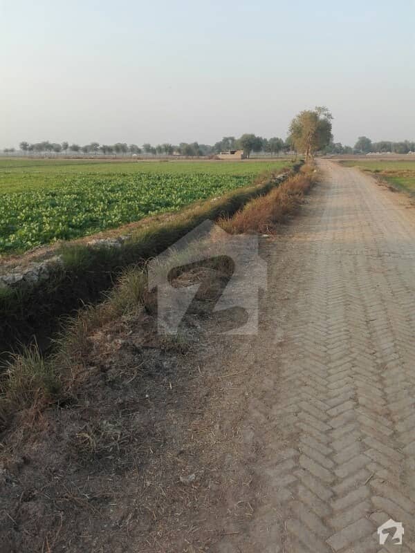 Agricultural Land At 30 Km Distance From Multan City Vehari Road
