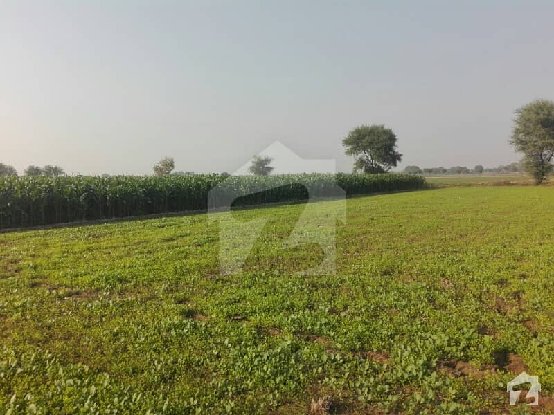 Agricultural Land At 30 Km Distance From Multan City Vehari Road