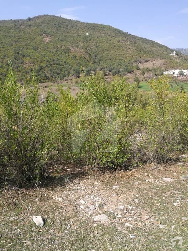 Residential Plot Of 1125 Square Feet In Judicial Town Is Available