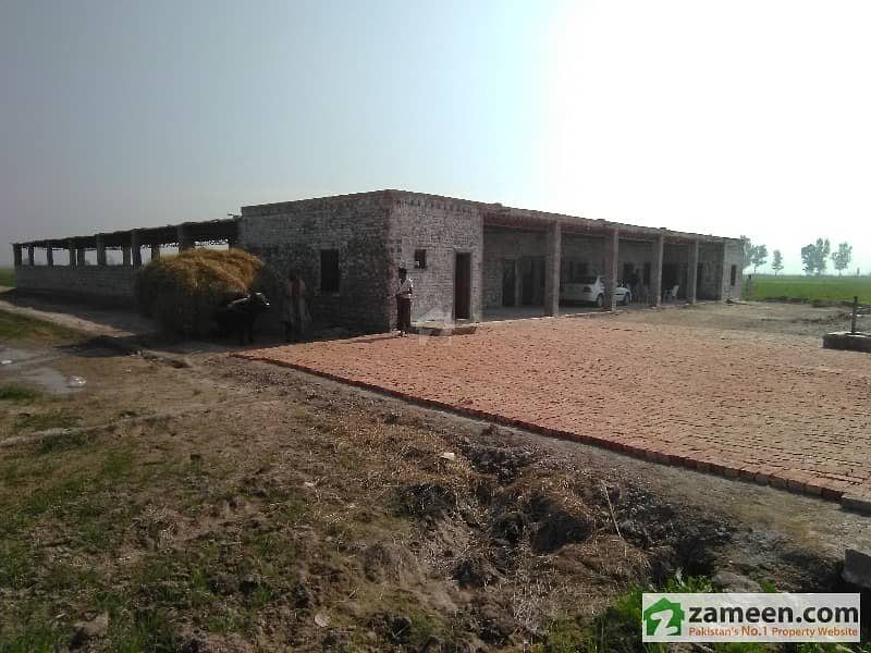 Dairy Cattle Farm For Rent Including 6. 25 Acre Land For Fodder Kala