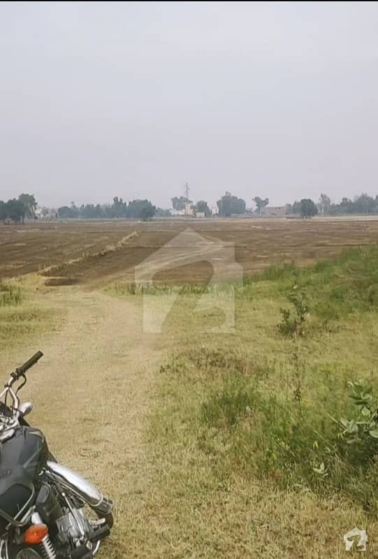 A Good Option For Sale Is The Agricultural Land Available In Daska Road
