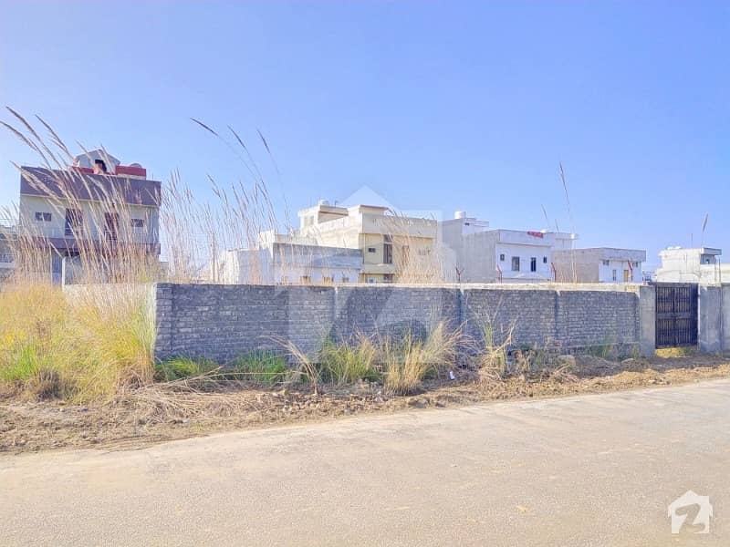 New City Phase 2 Lblock Kanal Plot For Sale New City Phase 2, New City