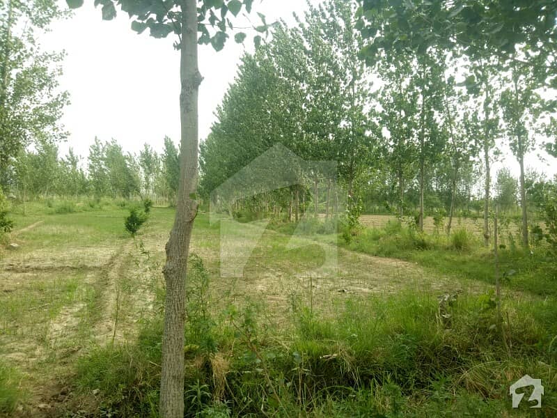Agriculture Land For Sale GT Road, Hassan Abdal ID30796042