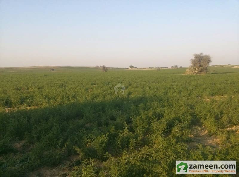 A Piece of Agricultural Land for sale at Karluwala Multan Mankera