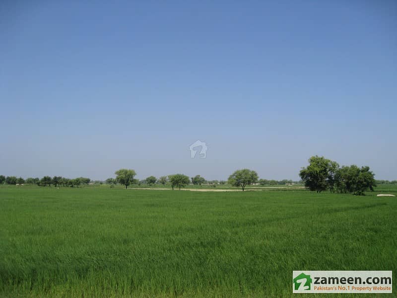 Agriculture Land + Mango Farm For Sale At Adda Basira Bahawalpur Bypass