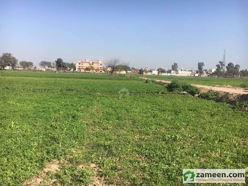 Agriculture Land For Sale Others, Gujrat ID5186329