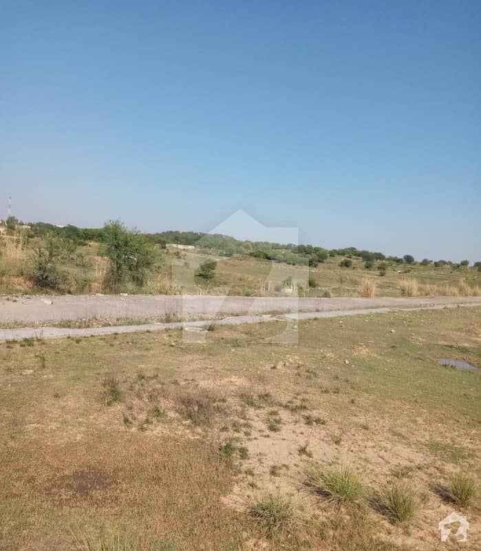 This Is Your Chance To Buy Residential Plot In National Cooperative