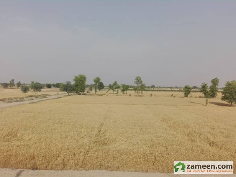 25 Acre Agricultural Land Is Available For Sale Lahore Motorway, Multan
