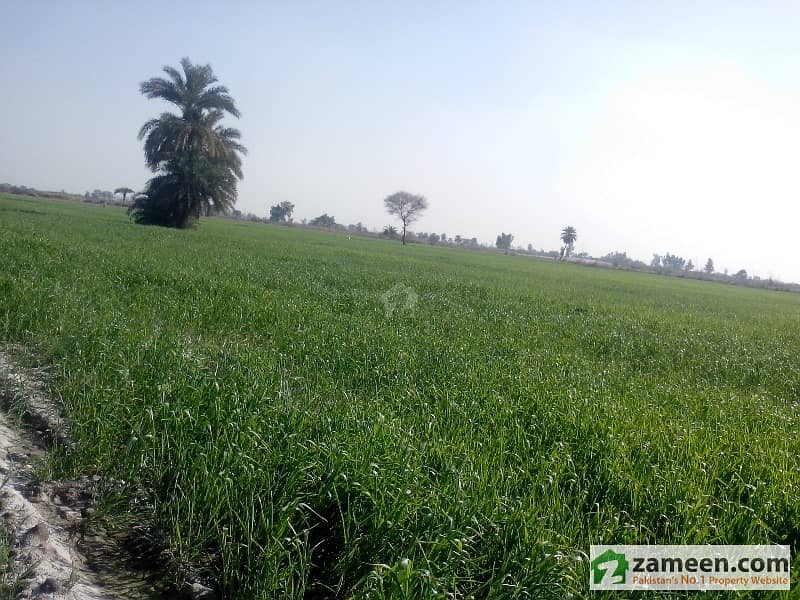 Fertile Agriculture land 17 Acres 15 km away from Main GT Road
