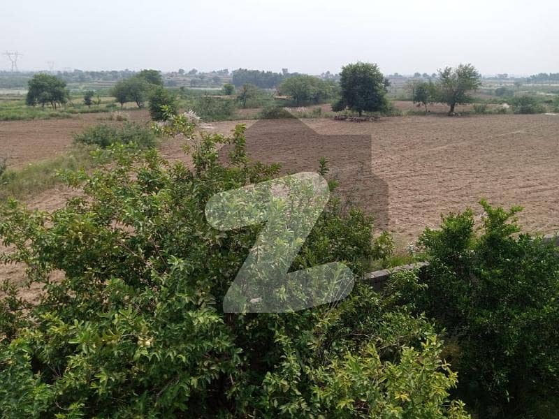 90000 Square Feet Farm House For Sale In Shahpur Dam Shahpur Dam, Fateh