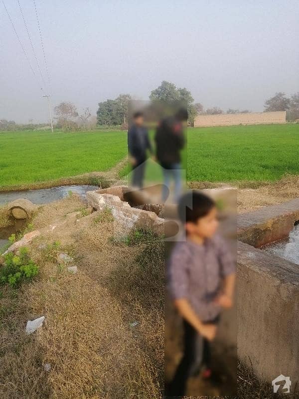 900000 Square Feet Agricultural Land Situated In Okan Wala Road For