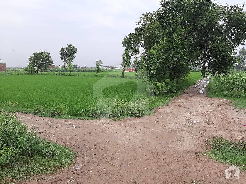 Land For Sale Near Sialkot Motorway Daska Road, Sialkot ID36054670