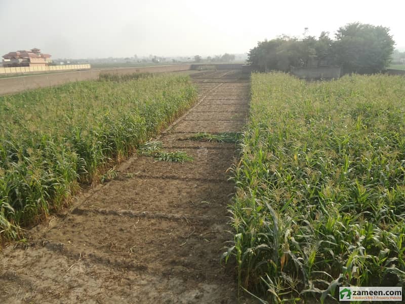 Plot For Sale In Ring Road Peshawar Ring Road, Peshawar ID10774897