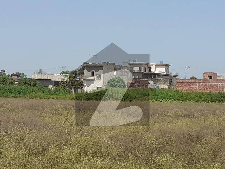 74 Kanal Land For Sale Near Sialkotdaska Road (motra) And M11 Sialkot