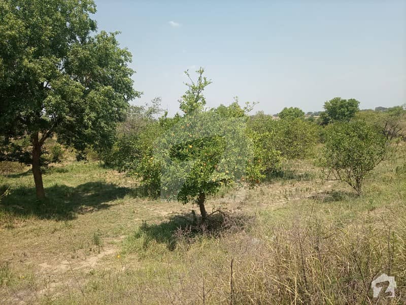 100 Kanal Farm House For Sale GT Road, Rawalpindi ID30982134