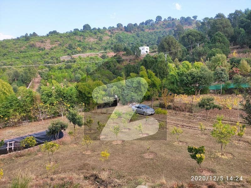 36000 Square Feet Agricultural Land In Simly Dam Road Is Best Option